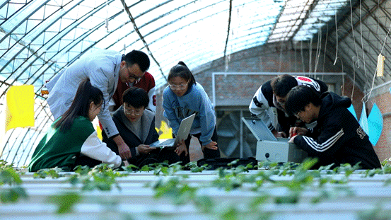 31现场教学，服务现代化农业