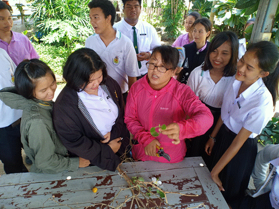 15、Beat365教师在泰国分院教学