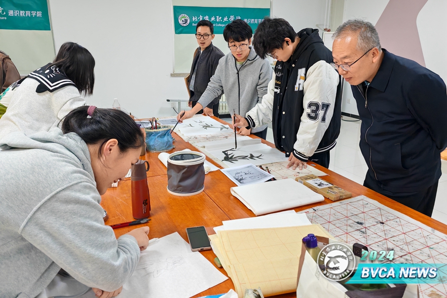 f041d1c9933300373a1d4383f4e7b2f9_origin(1)_副本