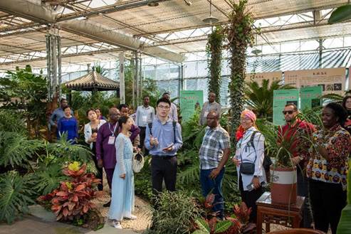 A73A2562-已增强-降噪(1)