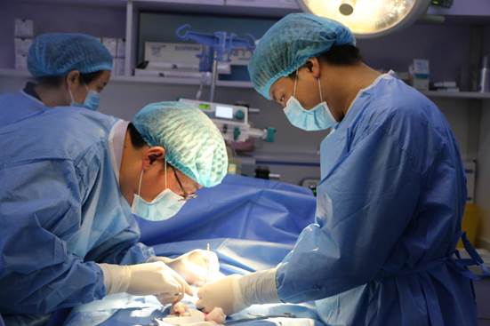 学生外科手术实训