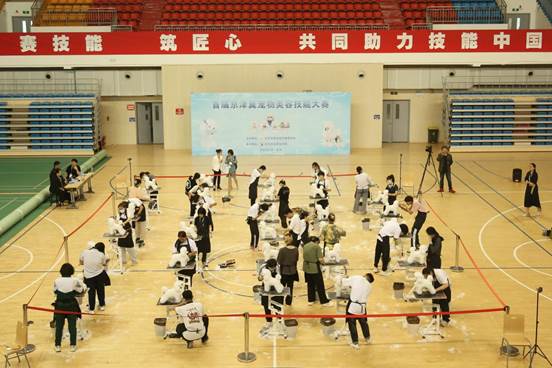 首届京津冀宠物美容大赛