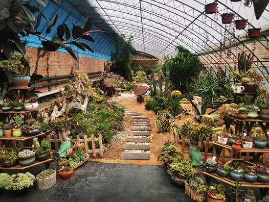 多肉温室